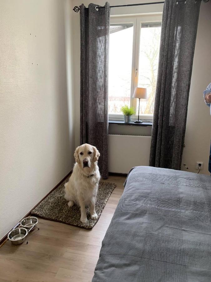 Bralanda Hotell Och Vandrarhem Kültér fotó